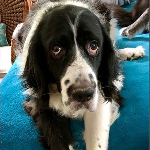 Meet your Posher, Sue